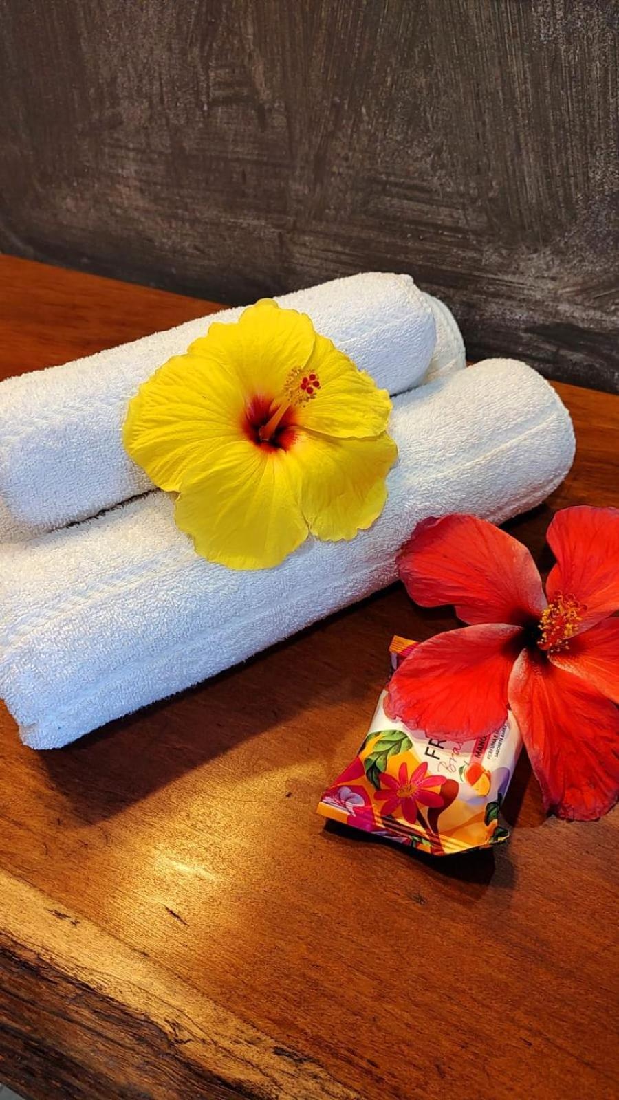 4 Elementos Guest House Porto Seguro Zewnętrze zdjęcie