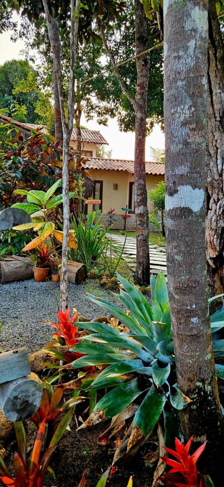 4 Elementos Guest House Porto Seguro Zewnętrze zdjęcie