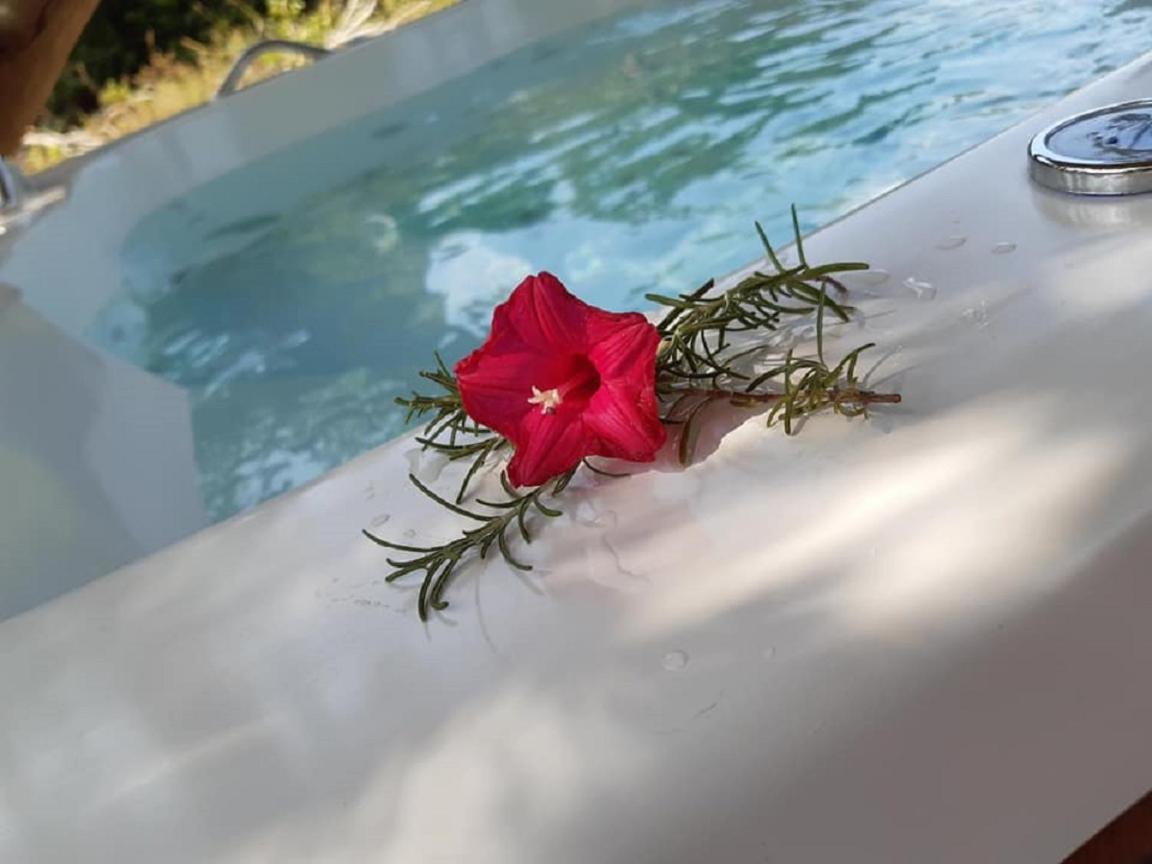 4 Elementos Guest House Porto Seguro Zewnętrze zdjęcie