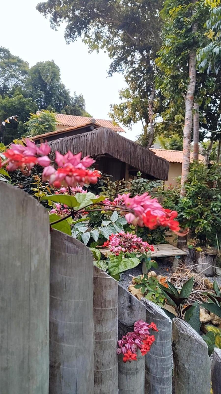 4 Elementos Guest House Porto Seguro Zewnętrze zdjęcie