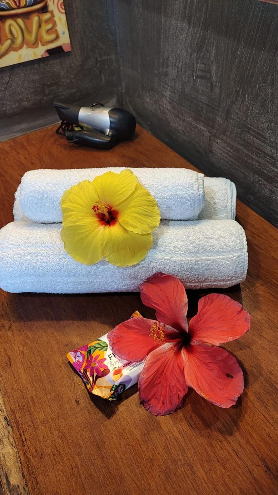 4 Elementos Guest House Porto Seguro Zewnętrze zdjęcie